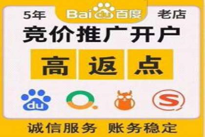 百度竞价排名案例解析：如何快速提升网站流量